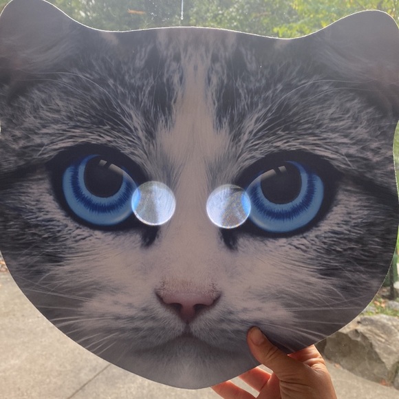 👻 Halloween Costume Masks - Picture 7 of 8